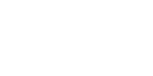 PARTNER-__0008_Layer-20